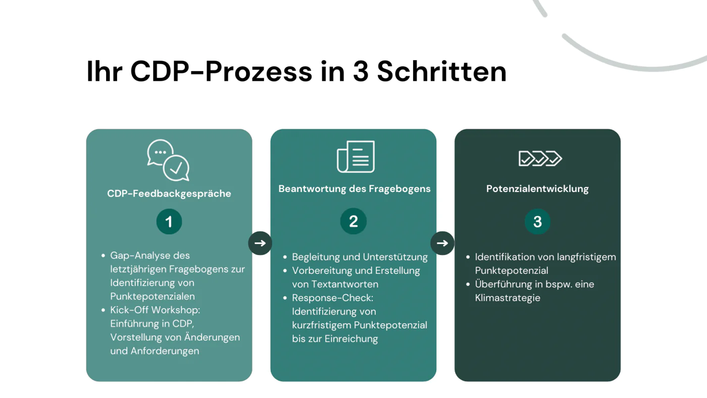 image Ihr CDP Prozess in 3 Schritten