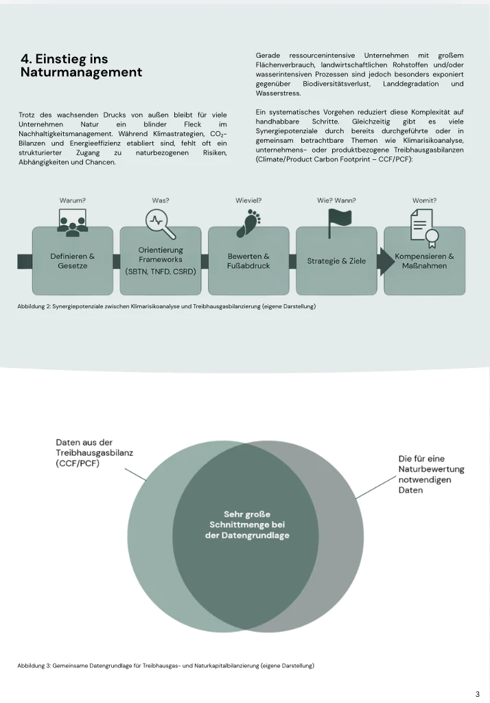 image BIld 2 Biodiversitaet 