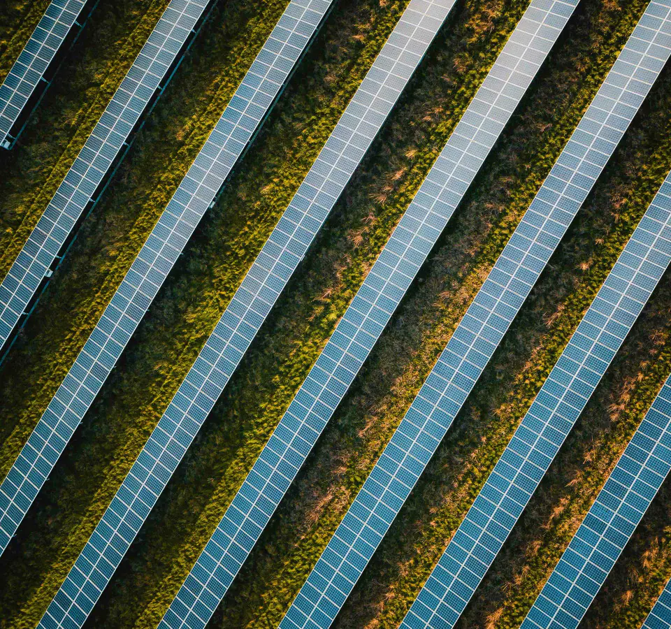 sustainable sustainability management esg reporting berichterstattung