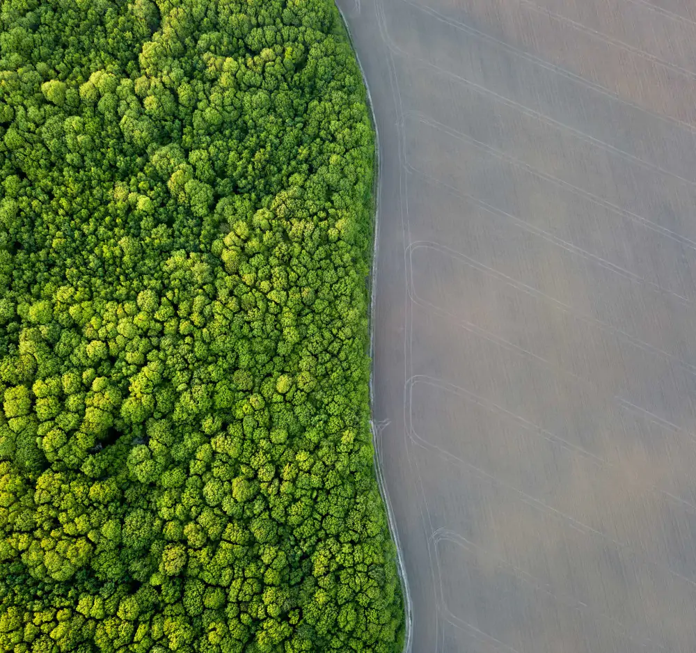 sustainable sustainability management esg nachhaltigkeitsintegration environment