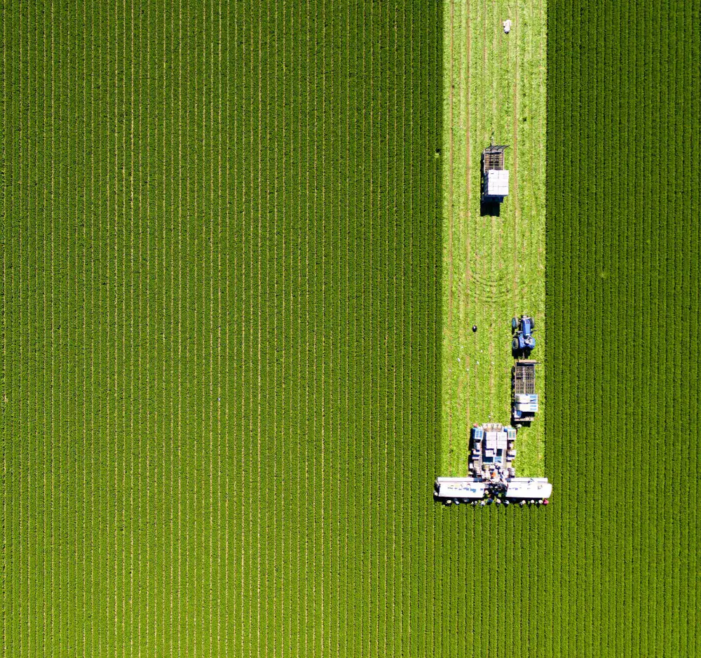 sustainable nachhaltigkeitsberatung landuse agricultural solutions supplier engagement agrarschutz